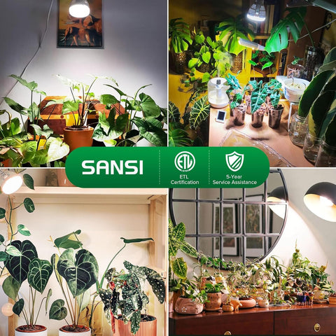 SANSI acabado del cuerpo disipador para larga vida útil