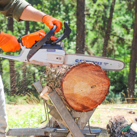 SawWorks comparación de tamaño con barra de 14 pulgadas precisa