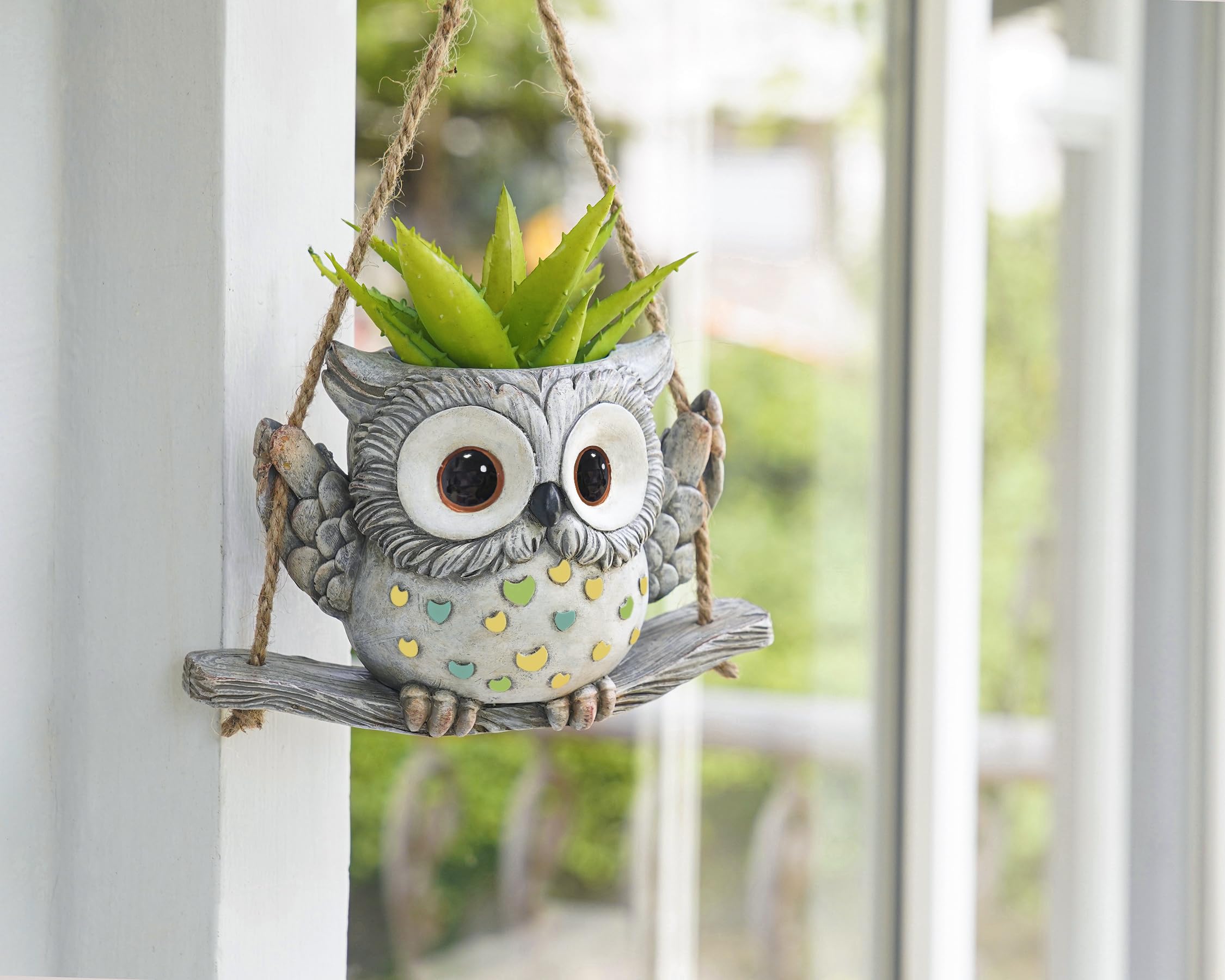 Saysmile maceta con suculenta equilibrada que respira salud