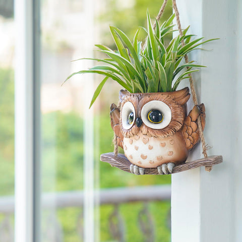Saysmile maceta colgada en ventana, optimiza luz para suculentas