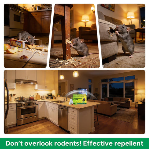Scarilpest bolsita en esquina de garaje, protege herramientas y espacios
