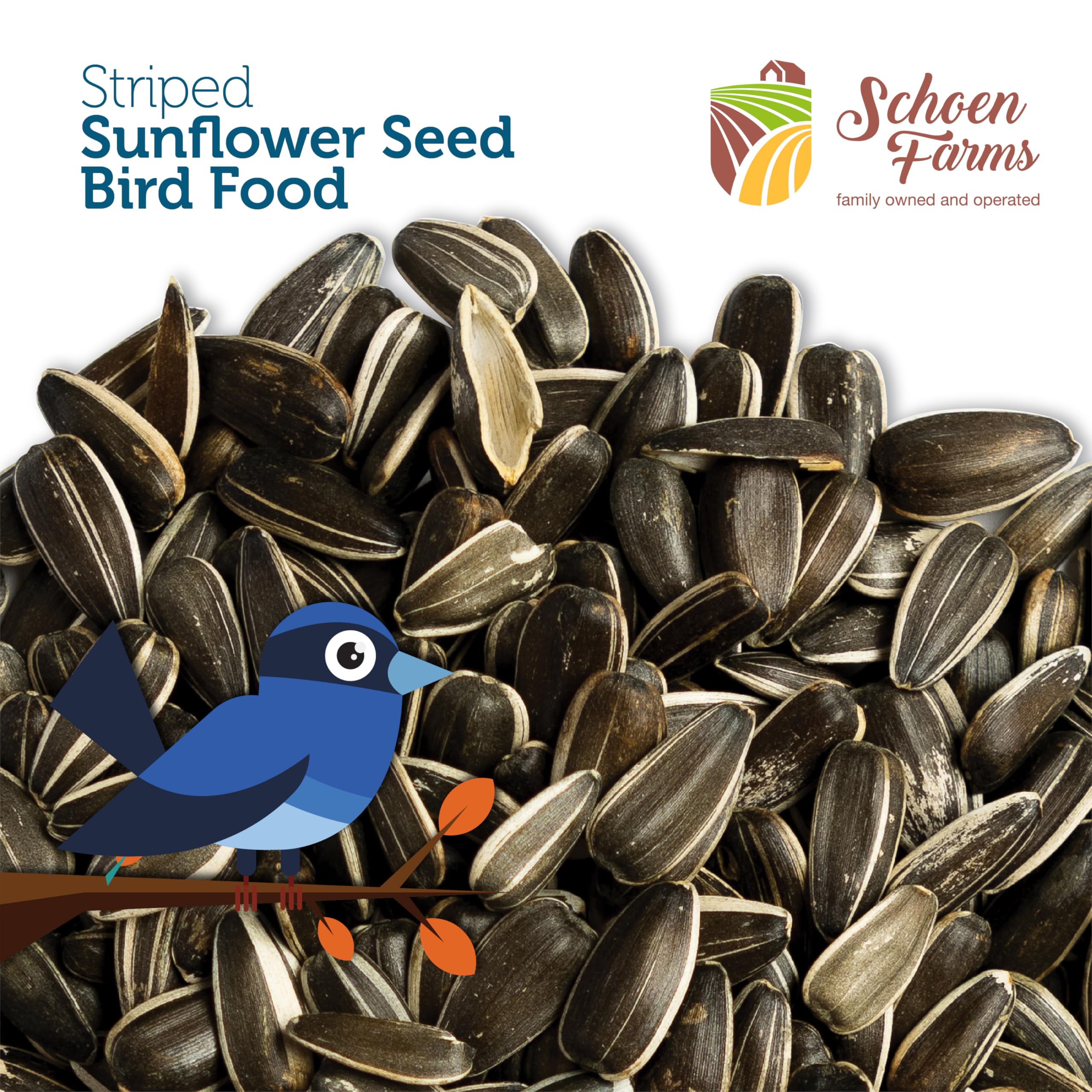 Schoen Farms semillas en comedero con pájaros comiendo, atrae variedad de aves
