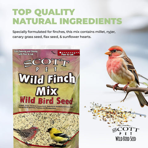Comedero tubo lleno con mezcla Scott Pet Wild Finch Mix atrayendo jilgueros en percha