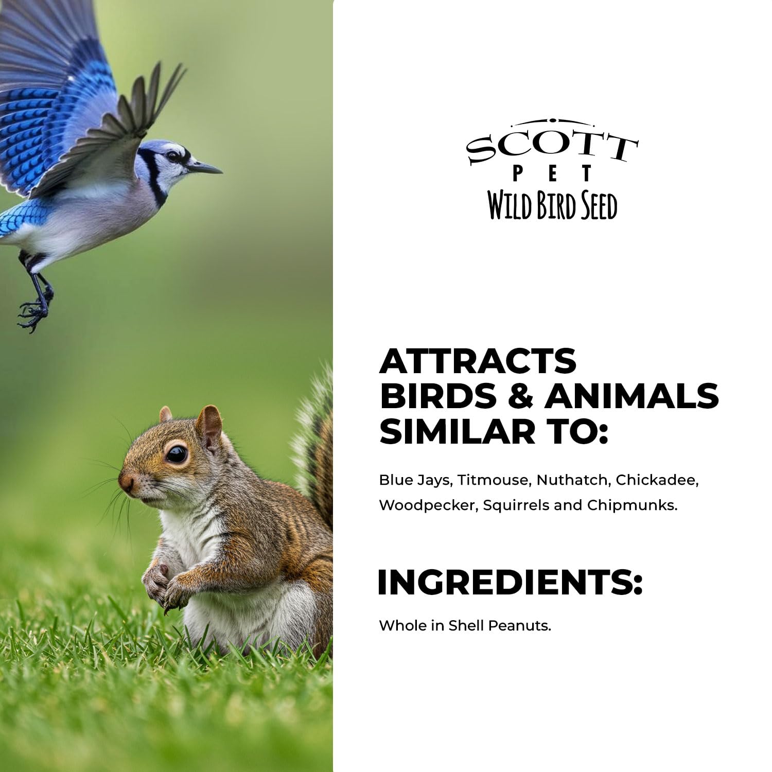 Scott Pet etiqueta con información y beneficios nutricionales visibles