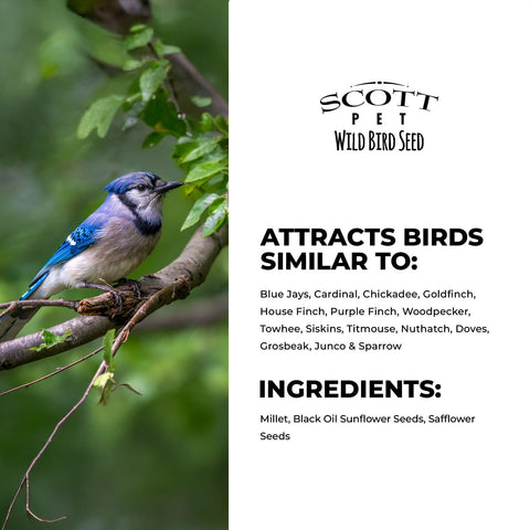 Scott Pet etiqueta con ingredientes y beneficios visibles para consumidores