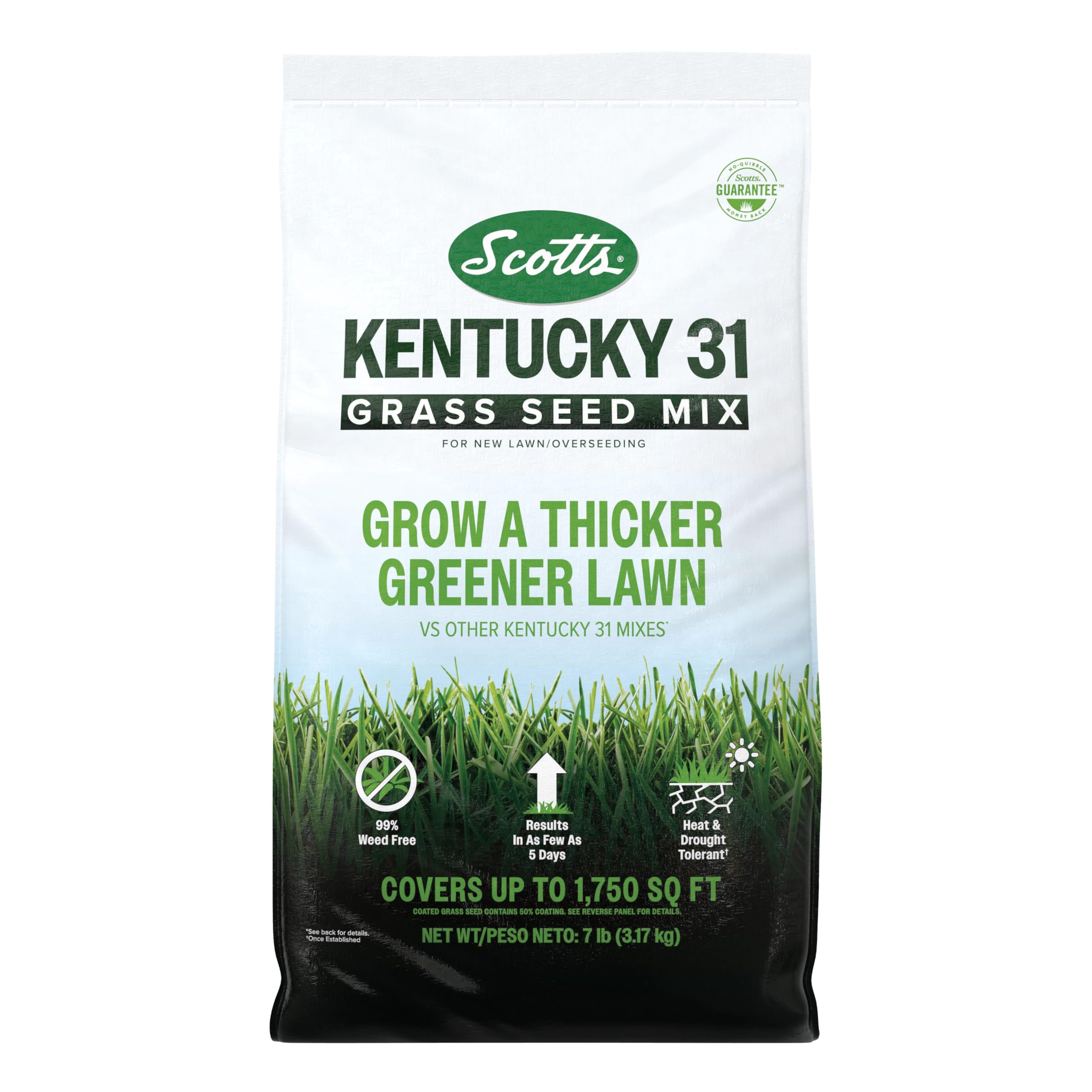 Scotts bolsa frontal Kentucky 31 mostrando marca y peso 7 lb, ideal para siembra