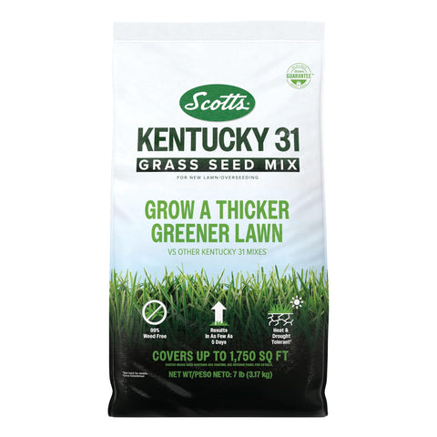 Scotts bolsa frontal Kentucky 31 mostrando marca y peso 7 lb, ideal para siembra