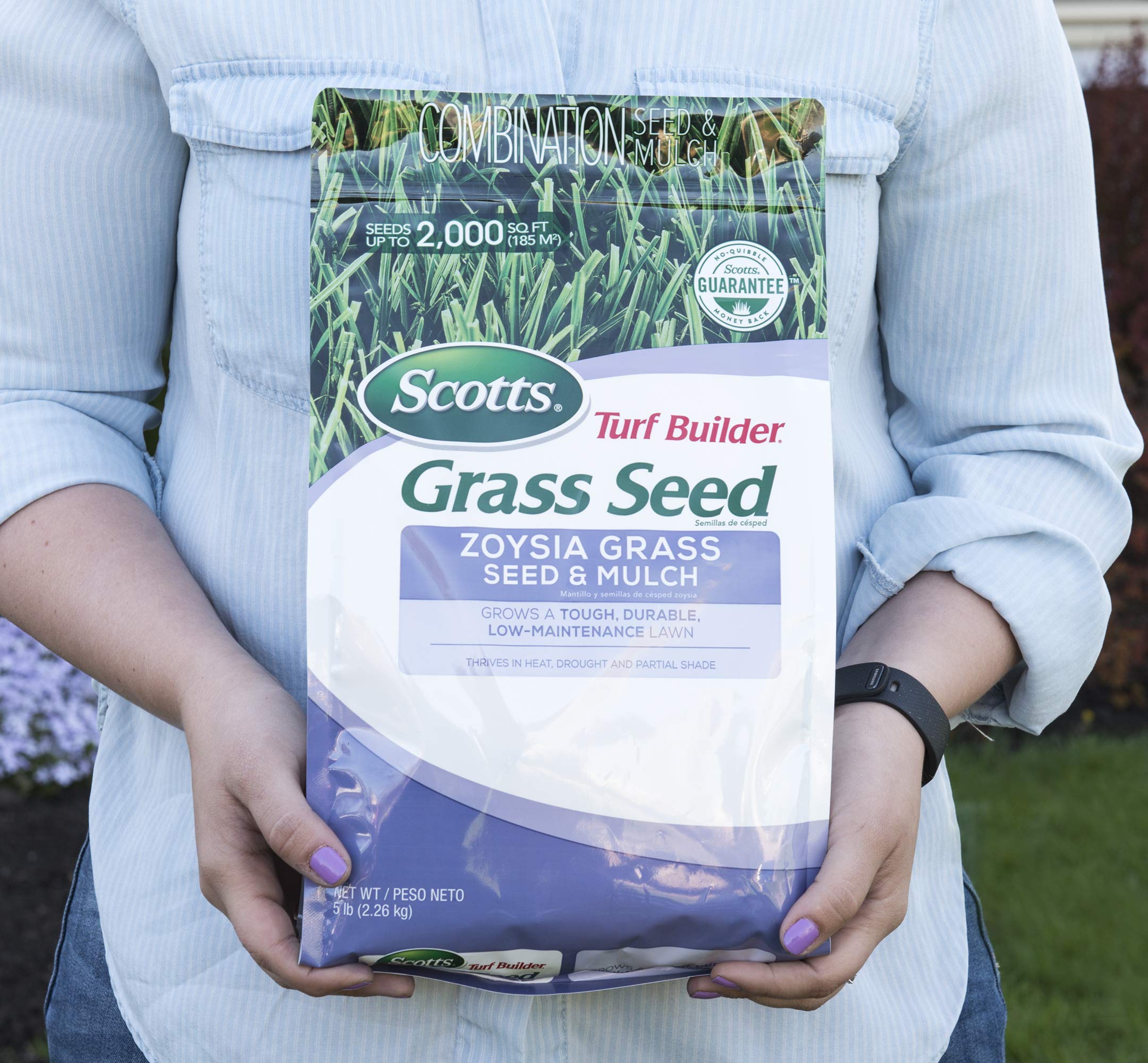 Scotts césped Zoysia establecido demostrando durabilidad y aspecto denso
