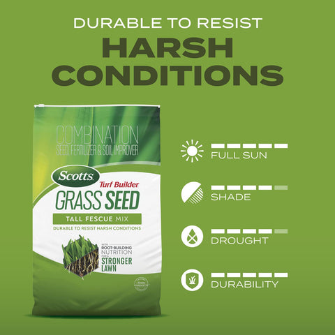 Scotts plántulas de tall fescue germinando, detalle de vigor