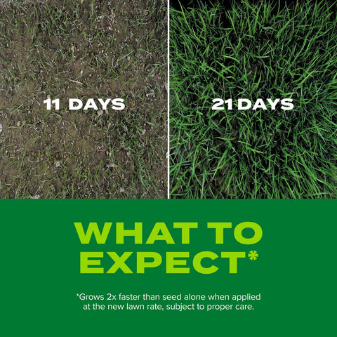 Scotts gráfico de cobertura nuevo vs overseed para calcular necesidades