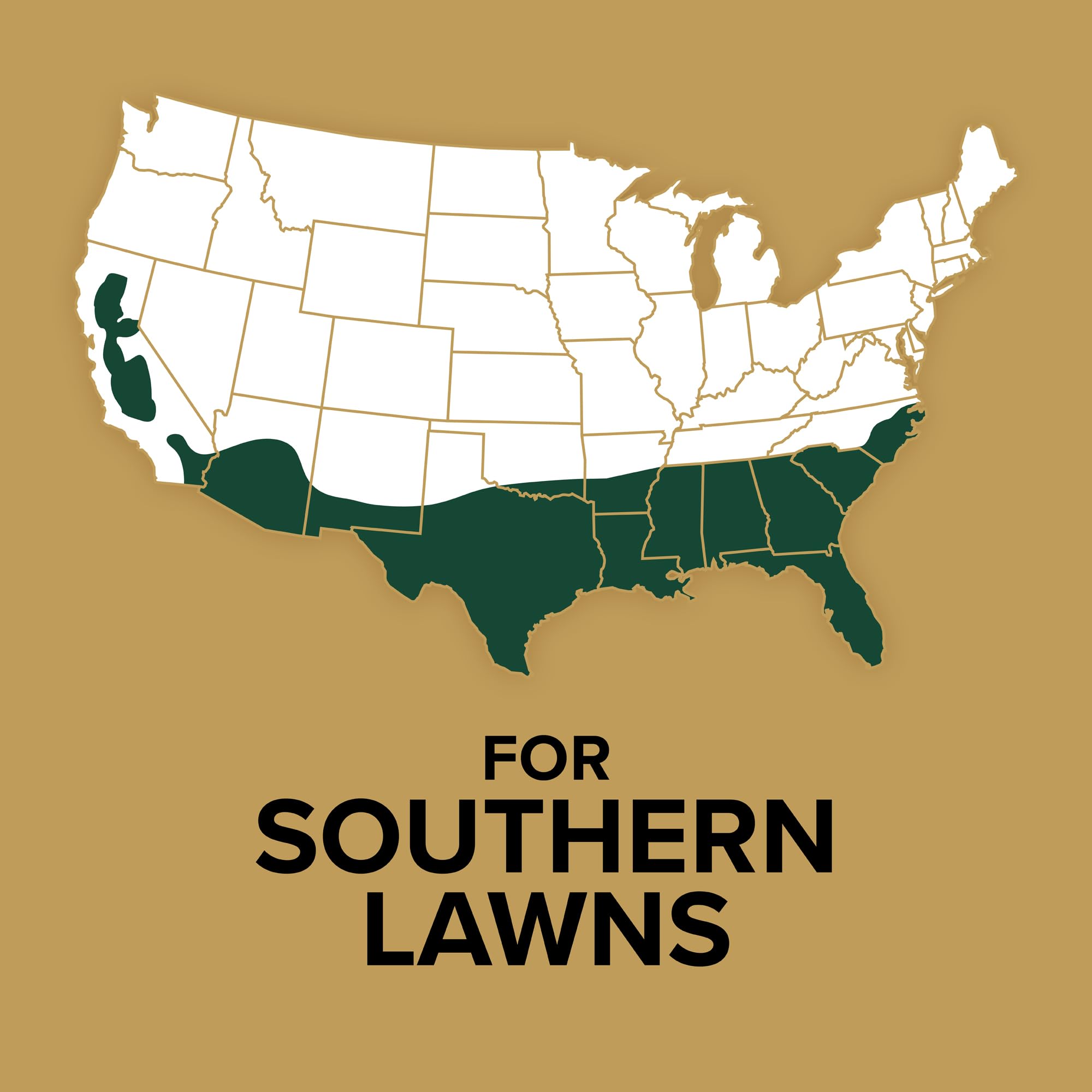Scotts detalle de semillas de bermudagrass listas para germinar