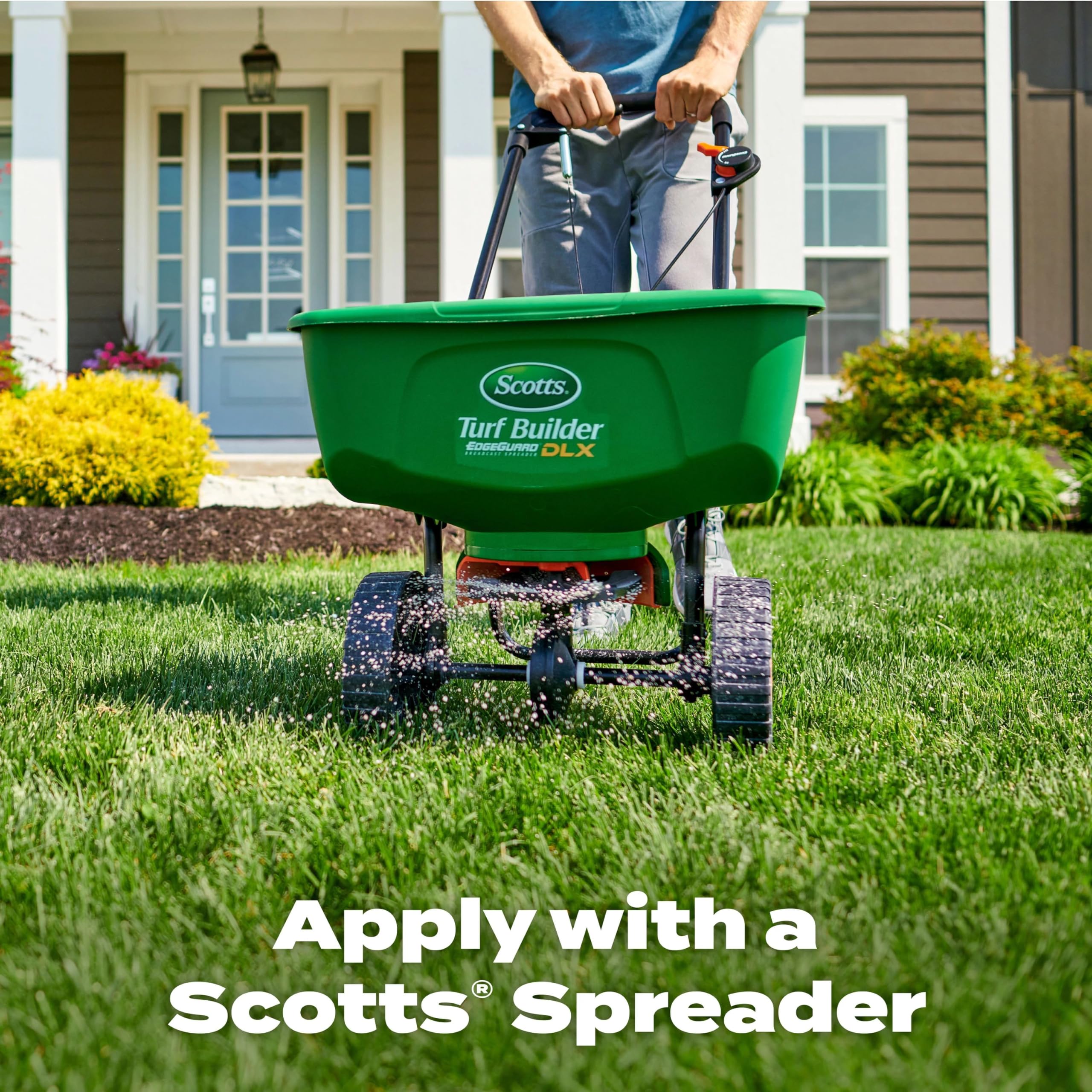 scotts riego ligero tras aplicación para activar nutrientes