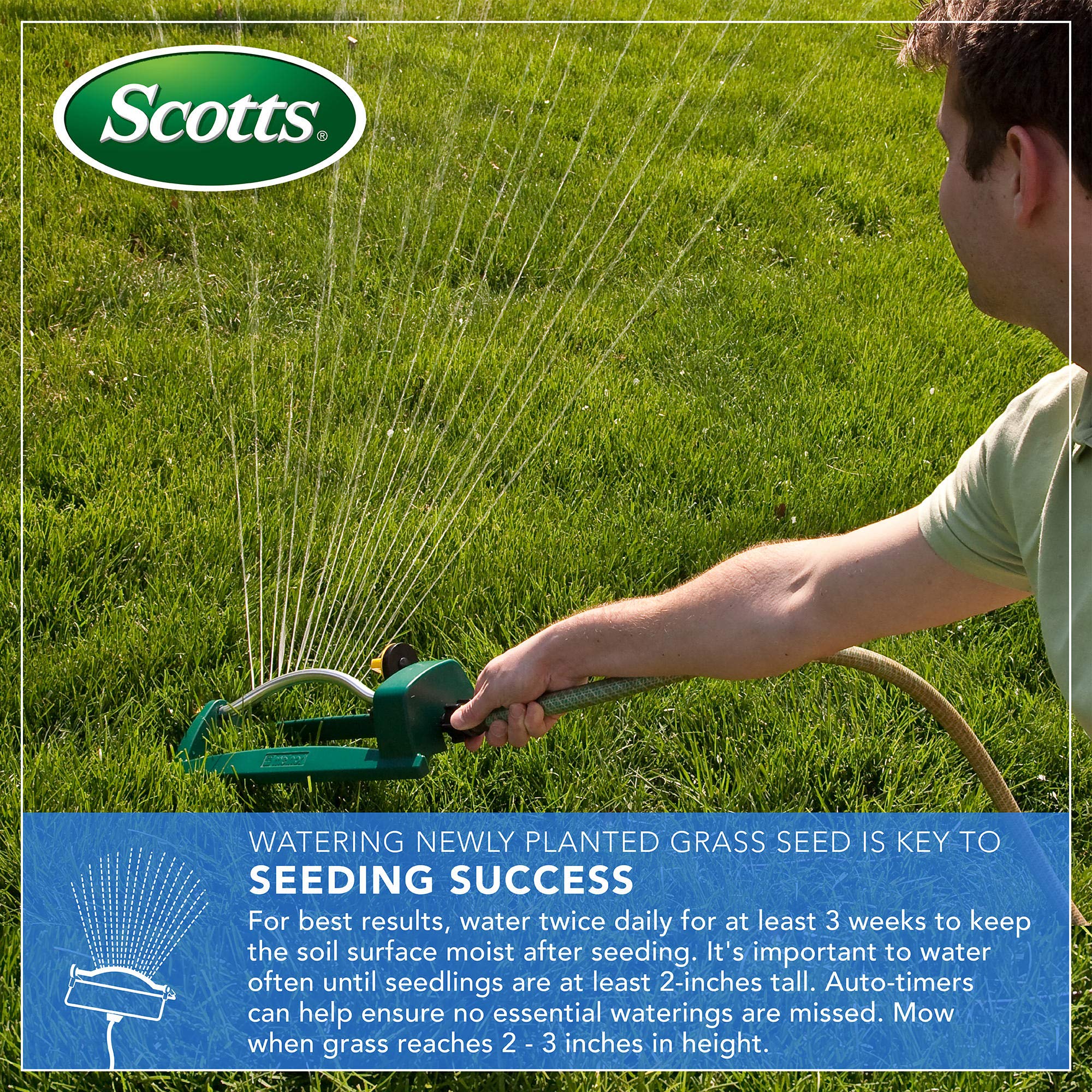Scotts semillas de bermuda cerca destacando germinación rápida y vigor