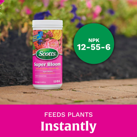 Scotts Super Bloom tamaño del envase 2 lb para referencia de cantidad