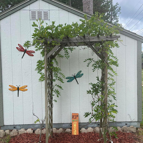 Scwhousi detalle de textura y pintura manual con acabado duradero