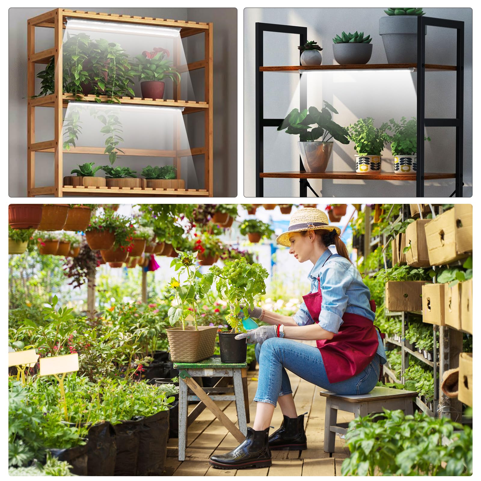 SDOVUERC ambiente de cultivo interior con luz, eficiente y seguro