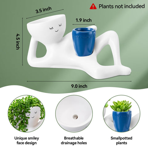 Sederikun maceta ambientada en sala que añade toque decorativo y energía positiva