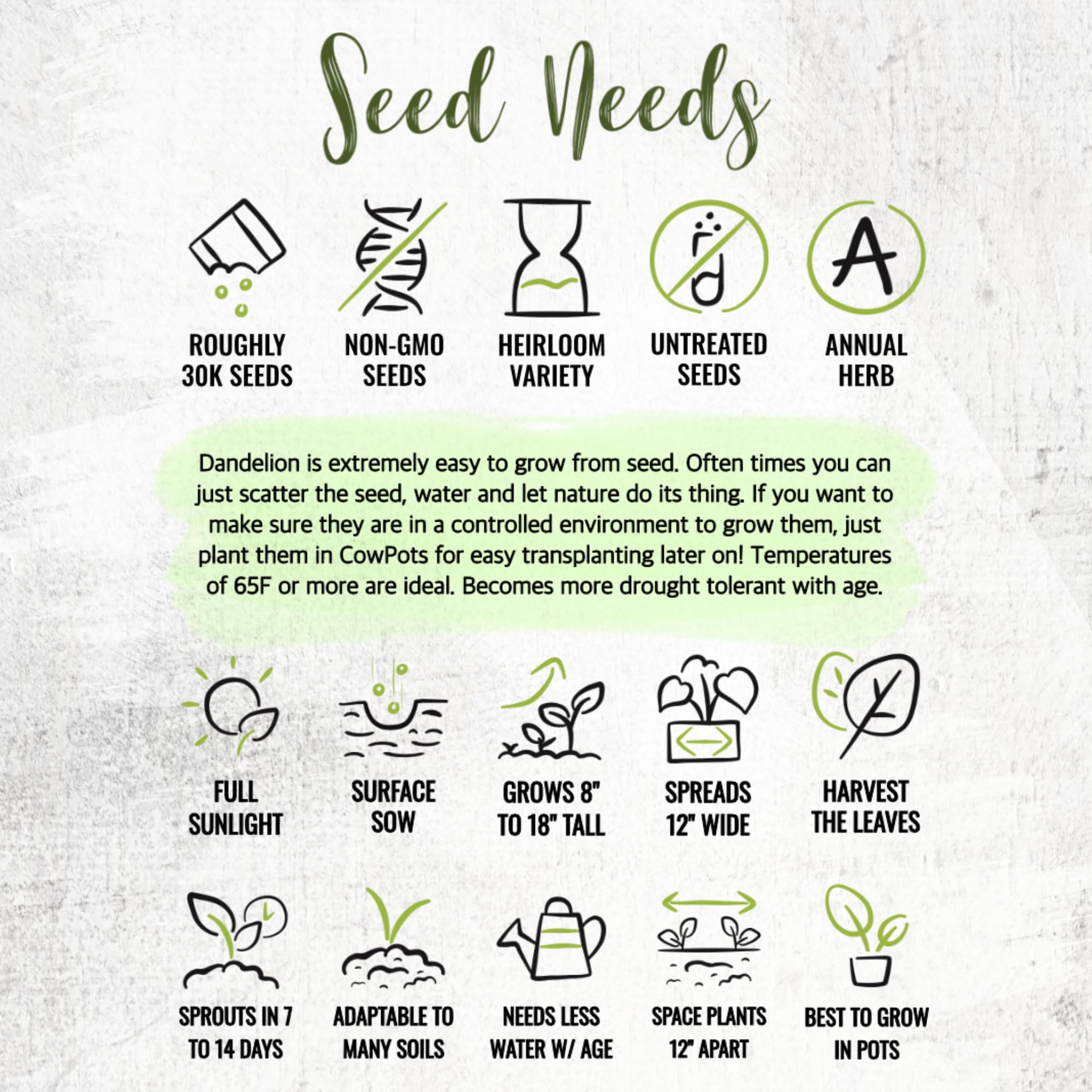 Seed Needs semillas comparadas con mano para mostrar volumen