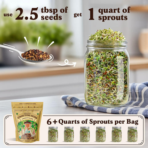Seedboy brotes en frasco listos para consumo, mostrando frescura y conveniencia