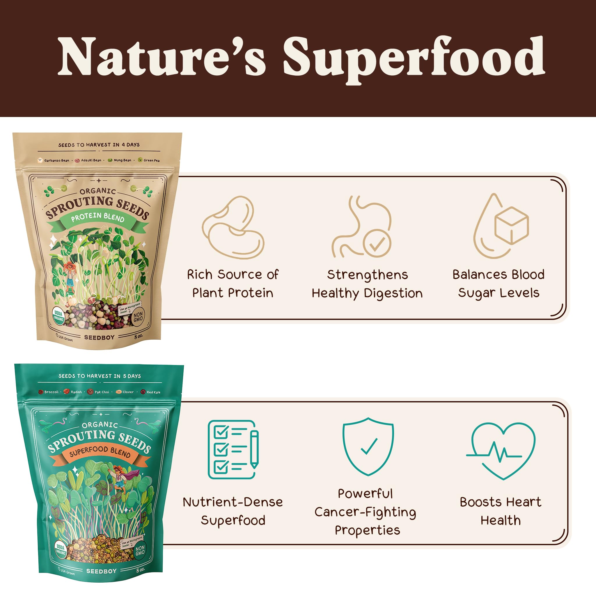 Seedboy brotes Protein en frasco, aportan proteínas vegetales rápidas