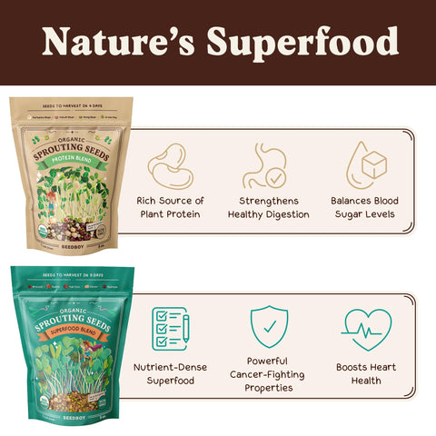 Seedboy brotes Protein en frasco, aportan proteínas vegetales rápidas