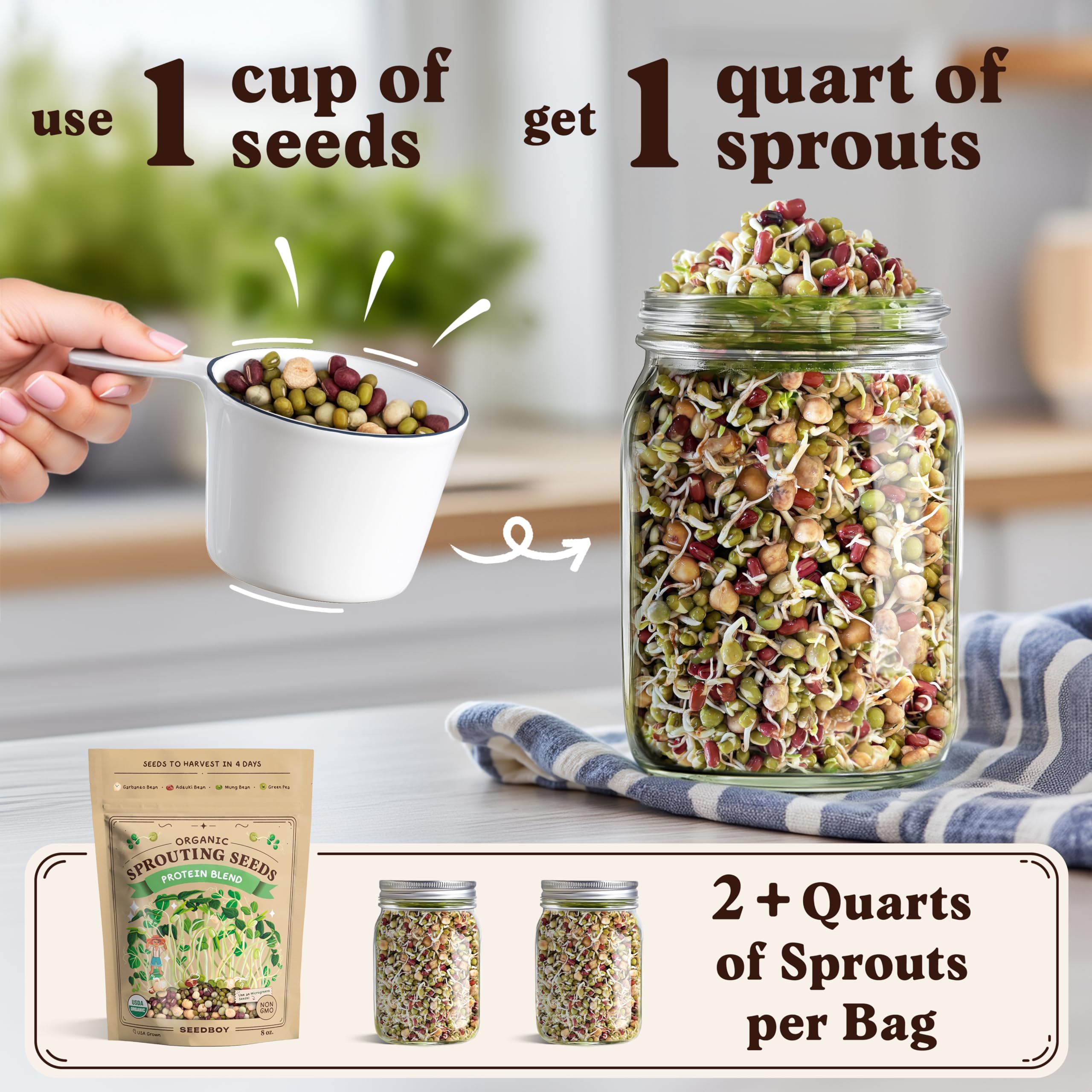 Seedboy brotes Superfood servidos en plato, añaden antioxidantes frescos