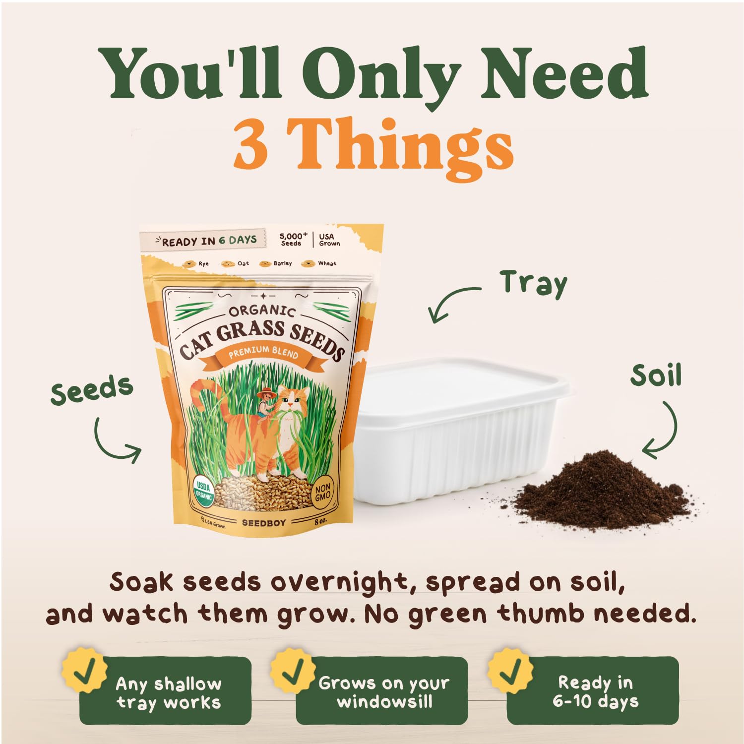 Seedboy bandeja con césped para gatos germinado listo para consumir