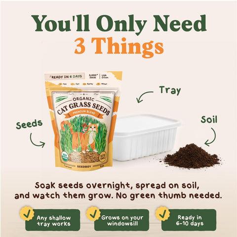 Seedboy bandeja con césped para gatos germinado listo para consumir