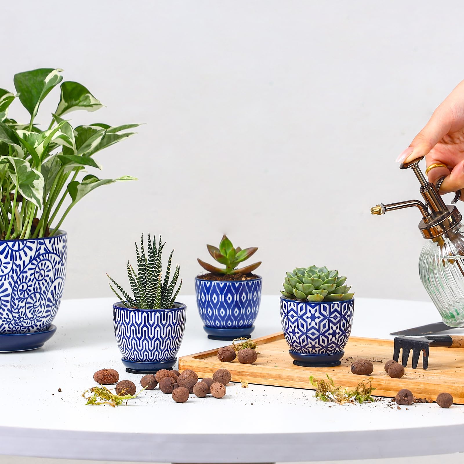 Selamica conjunto en estantería decorativa que embellece espacios pequeños
