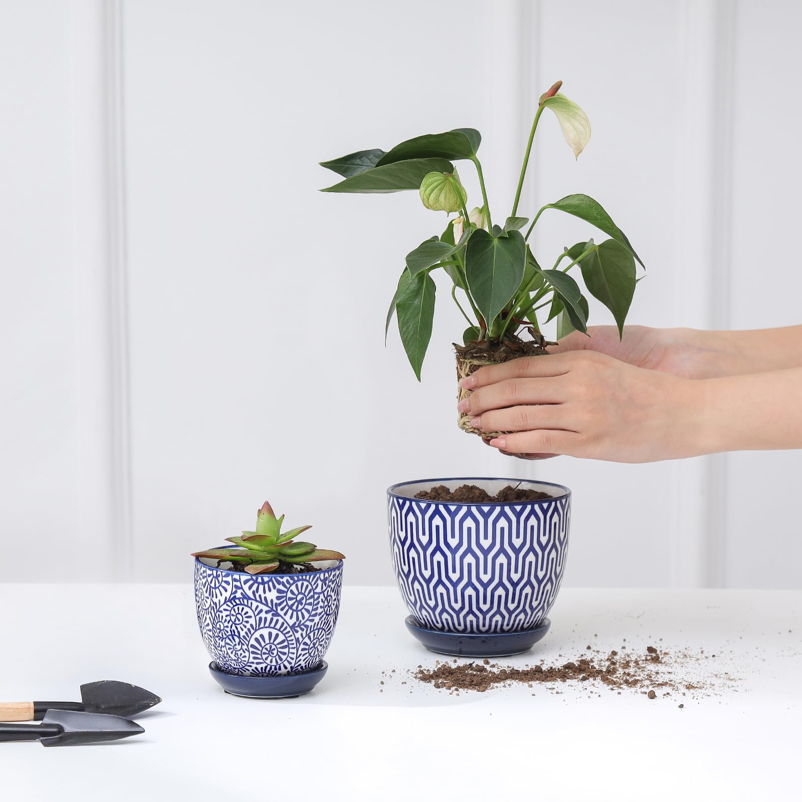 Selamica maceta junto a una mano para comparacion de tamaño práctico