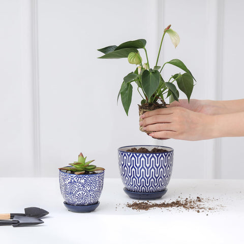 Selamica maceta junto a una mano para comparacion de tamaño práctico