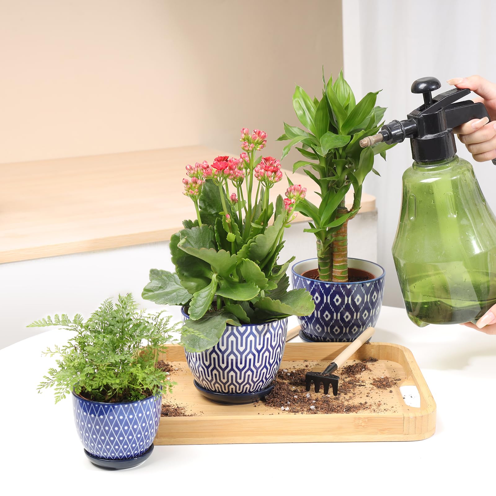 Selamica set de 4 en estantería aporta estilo y decoración funcional