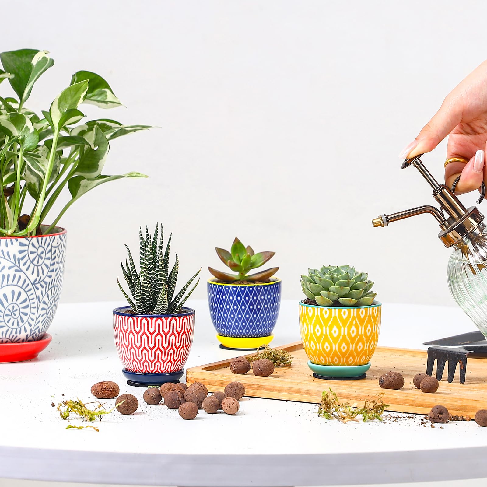Selamica macetas en salón decorativo, añade un toque moderno y acogedor