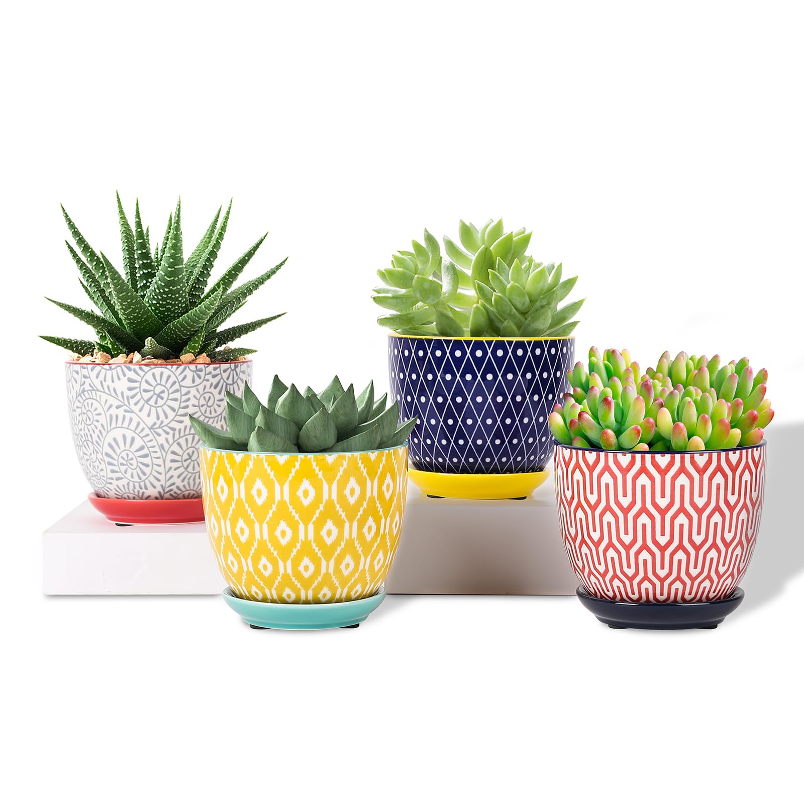 Selamica vista frontal set cuatro colores, estilo decorativo
