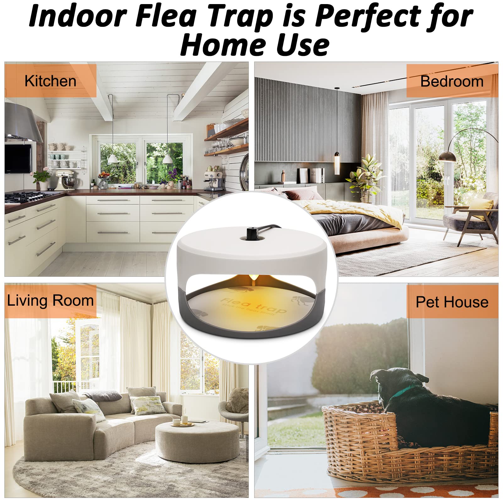 SENITEK EARPADS pad con insectos atrapados, evidencia de captura efectiva