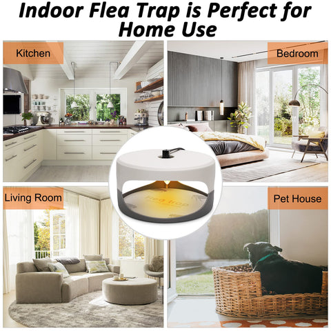 SENITEK EARPADS pad con insectos atrapados, evidencia de captura efectiva