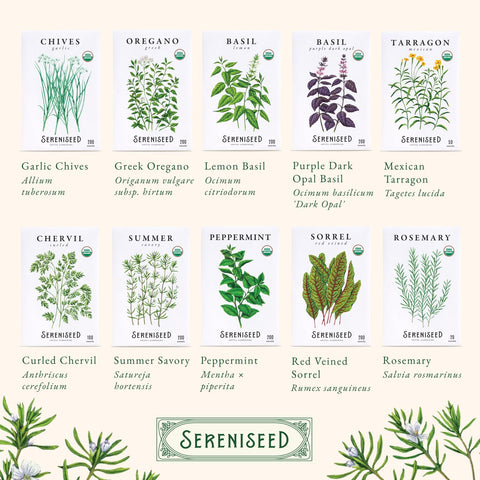 Sereniseed ambiente de cocina mostrando cómo mejora recetas caseras