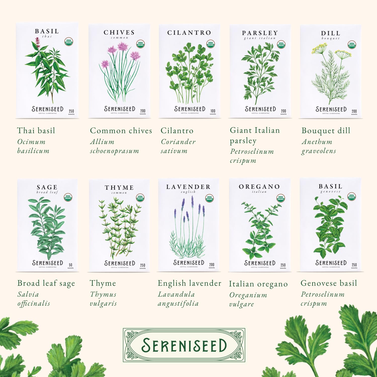 Sereniseed hojas recién cosechadas demostrando sabor y aroma intenso