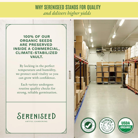 Sereniseed maceta interior con hierbas para acceso rápido en la cocina