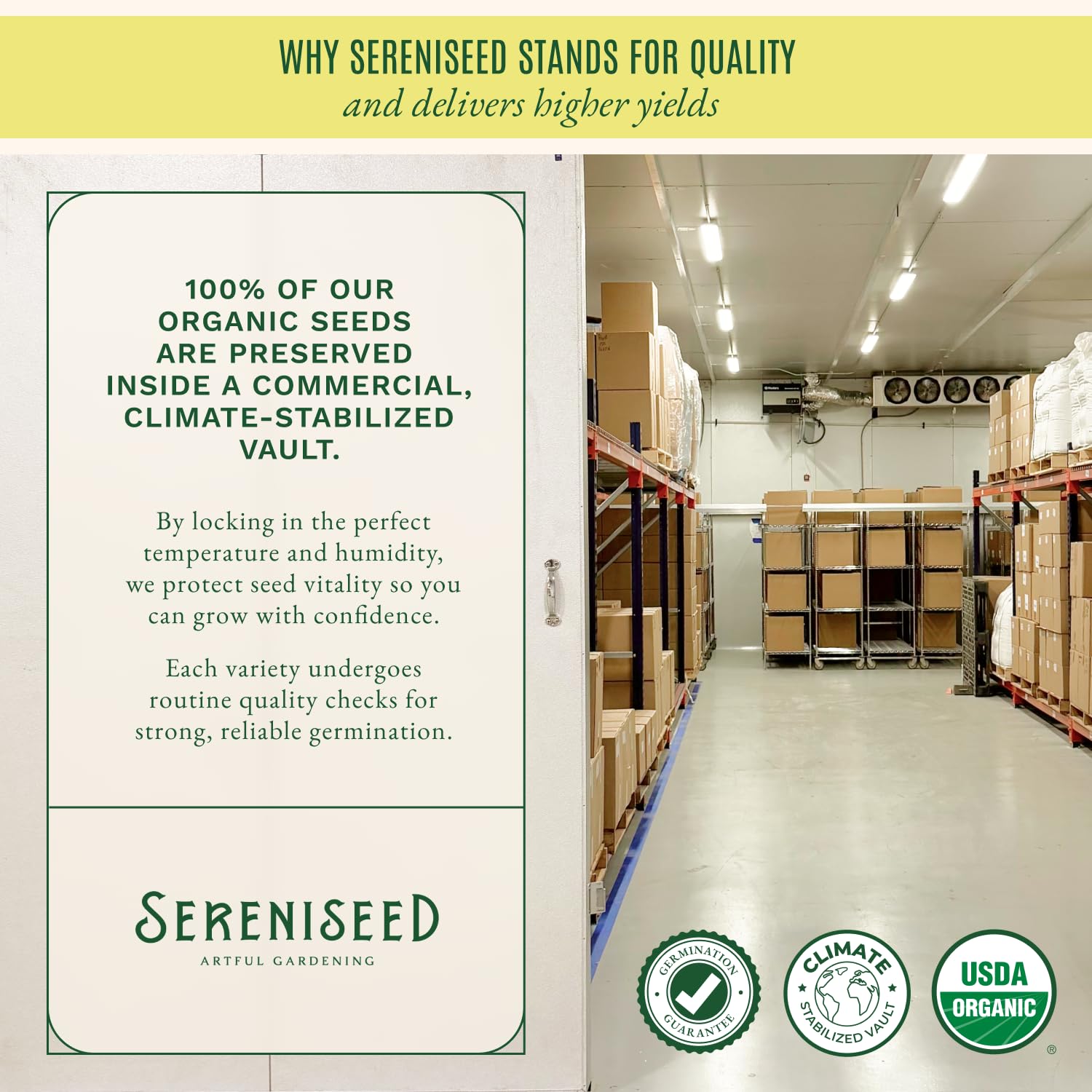 Sereniseed semillas en primer plano que muestran textura y alta viabilidad