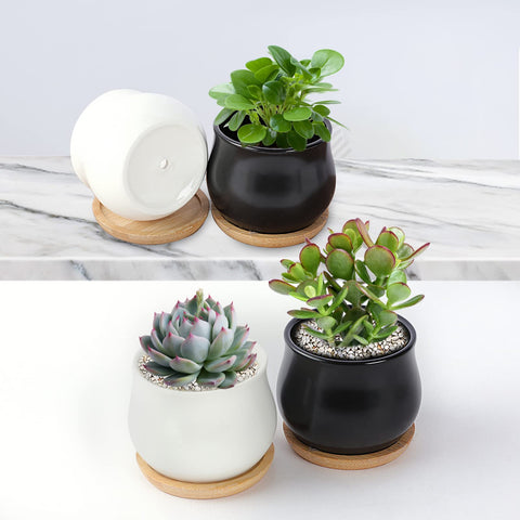 SHECIPIN macetas en repisa, aportan estilo minimalista al hogar