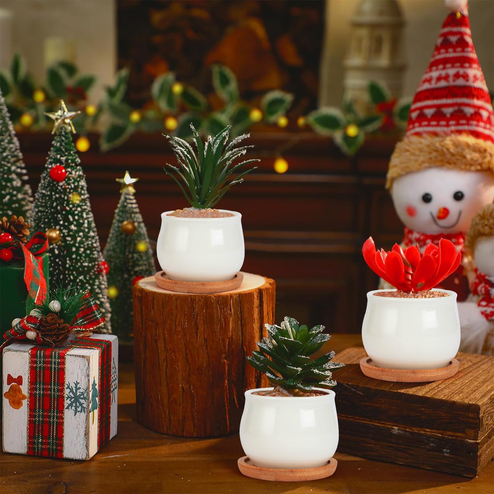 SHECIPIN macetas empaquetadas para regalo ideal en bodas y eventos