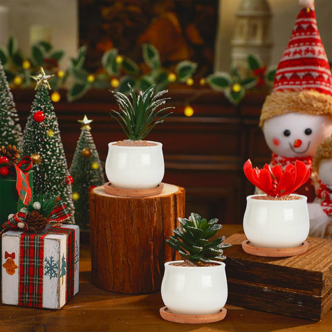 SHECIPIN macetas empaquetadas para regalo ideal en bodas y eventos