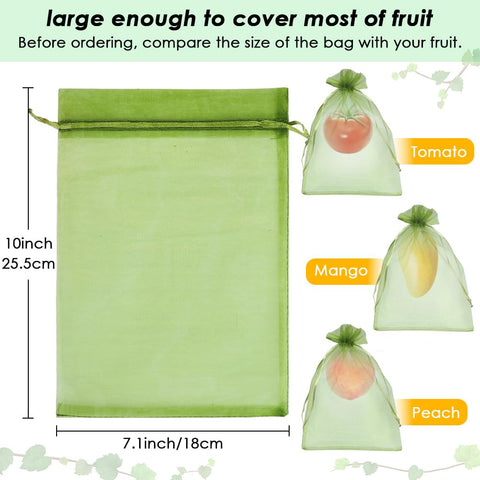 Shintop bolsa colocada en una manzana demostrando protección sin dañar fruto