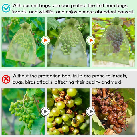 Shintop primer plano de la malla fina que evita insectos y permite ventilación