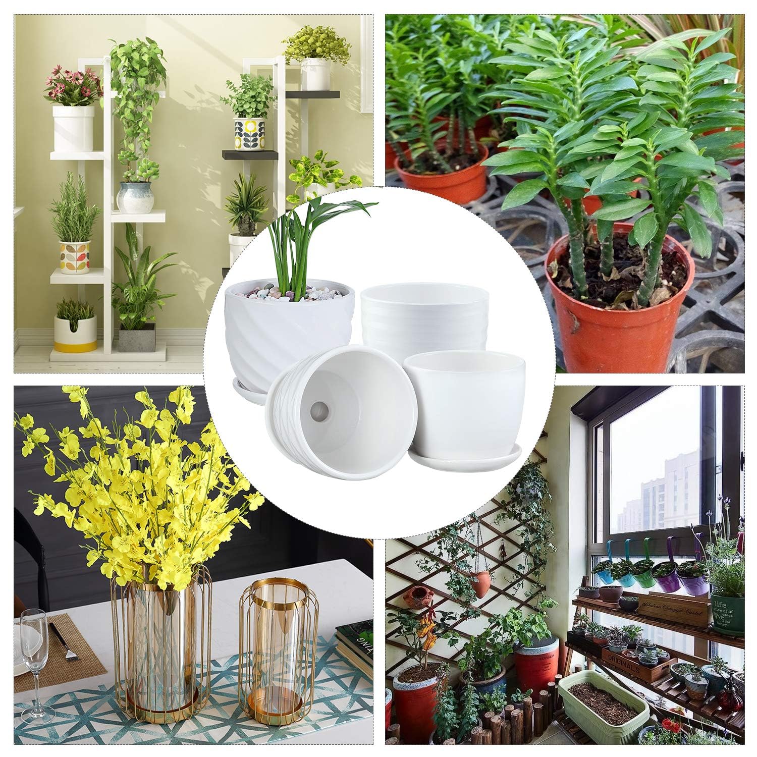 sietpoek maceta en ambiente interior destacando estilo decorativo