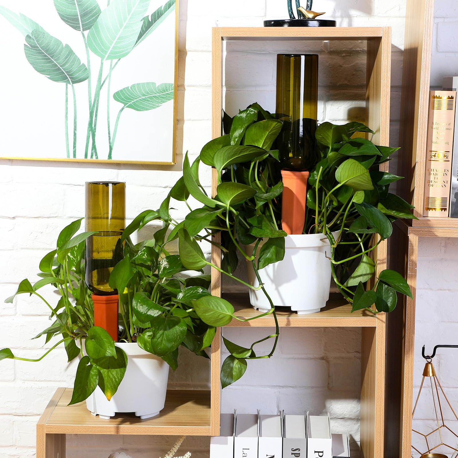 SiliFine set en balcón con plantas, ideal para viajes y cuidado sin esfuerzo