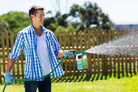 Simple Lawn Solutions ingredientes algas y pescado en primer plano destacando aporte orgánico