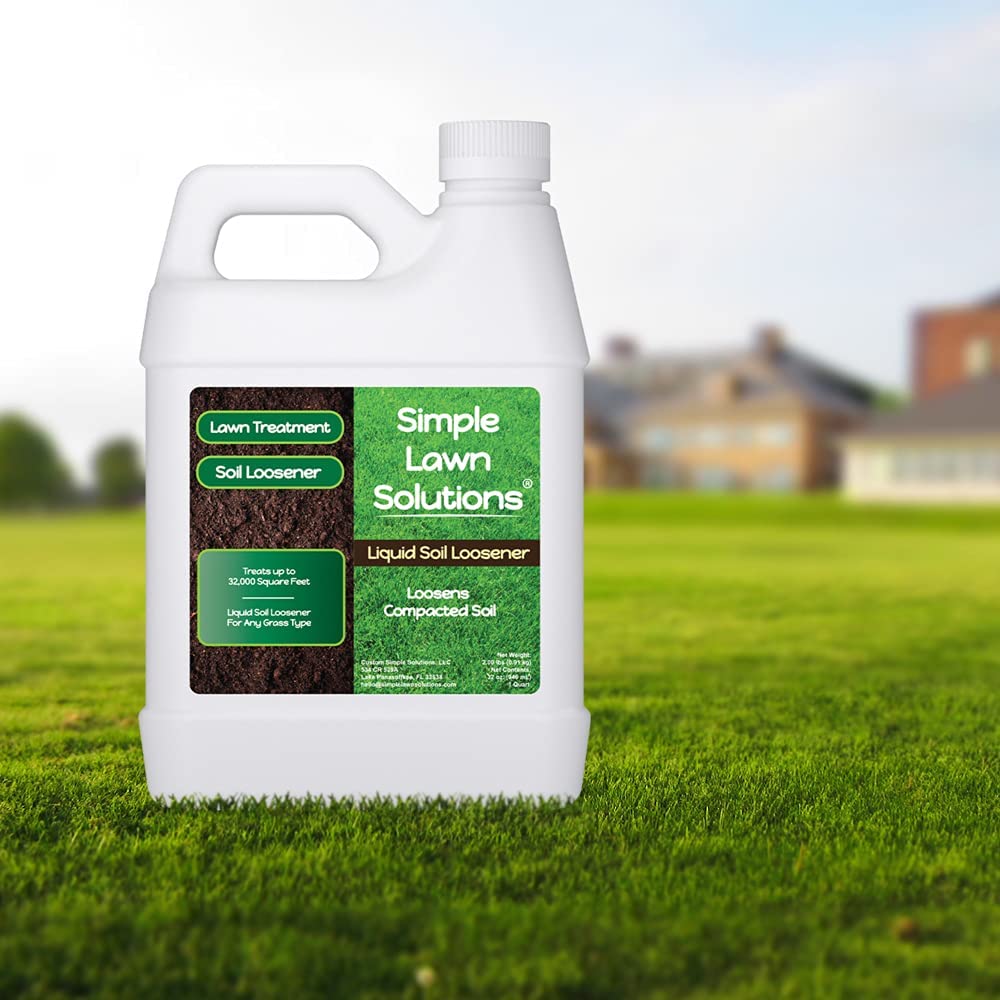 Simple Lawn Solutions aplicación sobre césped demostrando mejor drenaje inmediato
