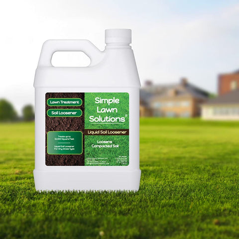 Simple Lawn Solutions aplicación sobre césped demostrando mejor drenaje inmediato